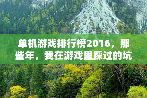 我在游戏里踩过的坑与摸出的野路子图片