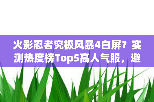 实测热度榜Top5高人气服图片