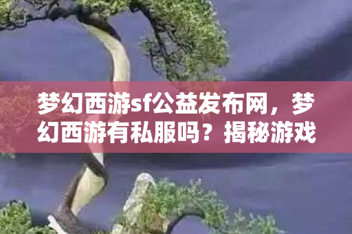梦幻西游sf公益发布网，梦幻西游有私服吗？揭秘游戏私服的真相