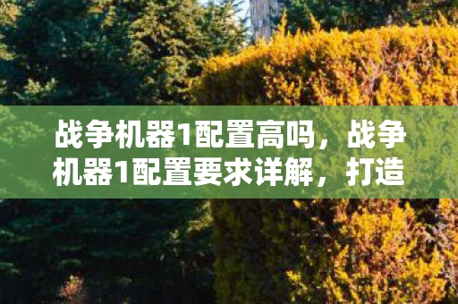 战争机器1配置高吗,战争机器1配置要求详解,打造流畅游戏体验 战争机器1配置高吗,战争机器1配置要求详解,打造流畅游戏体验