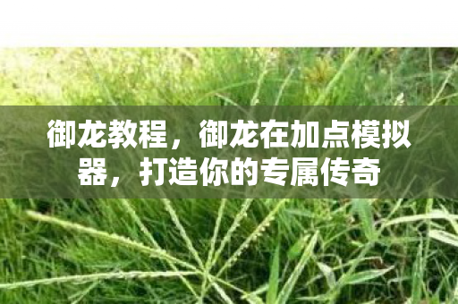 御龙教程,御龙在加点模拟器,打造你的专属传奇 御龙教程,御龙在加点模拟器,打造你的专属传奇