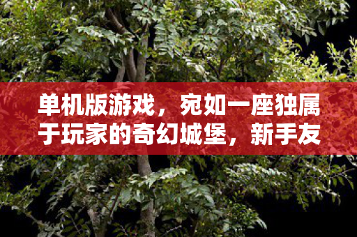 宛如一座独属于玩家的奇幻城堡图片
