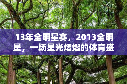 13年全明星赛,2013全明星,一场星光熠熠的体育盛宴 13年全明星赛,2013全明星,一场星光熠熠的体育盛宴