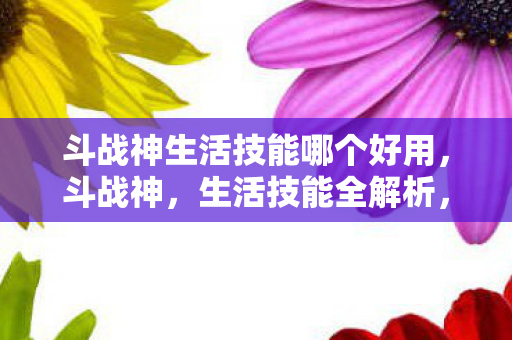 斗战神生活技能哪个好用,斗战神,生活技能全解析,哪个才是你的最佳选择? 斗战神生活技能哪个好用,斗战神,生活技能全解析,哪个才是你的最佳选择?