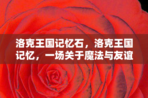 洛克王国记忆石,洛克王国记忆,一场关于魔法与友谊的奇幻之旅 洛克王国记忆石,洛克王国记忆,一场关于魔法与友谊的奇幻之旅