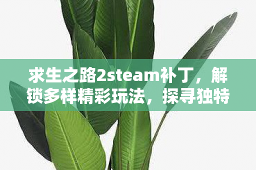 求生之路2steam补丁,解锁多样精彩玩法,探寻独特游戏体验 求生之路2steam补丁,解锁多样精彩玩法,探寻独特游戏体验