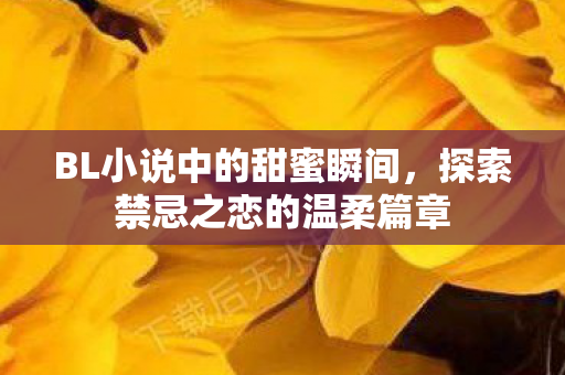 BL小说中的甜蜜瞬间,探索禁忌之恋的温柔篇章 BL小说中的甜蜜瞬间,探索禁忌之恋的温柔篇章