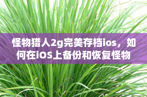 怪物猎人2g完美存档ios,如何在iOS上备份和恢复怪物猎人2G存档 怪物猎人2g完美存档ios,如何在iOS上备份和恢复怪物猎人2G存档