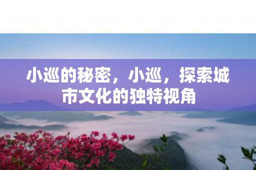 小巡的秘密,小巡,探索城市文化的独特视角 小巡的秘密,小巡,探索城市文化的独特视角