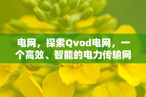 电网，探索Qvod电网，一个高效、智能的电力传输网络