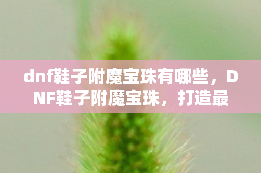 dnf鞋子附魔宝珠有哪些，DNF鞋子附魔宝珠，打造最强战斗力的必备神器