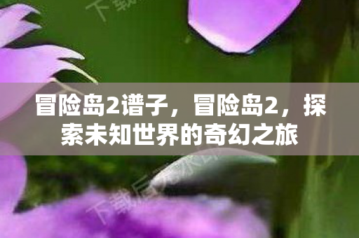 冒险岛2谱子，冒险岛2，探索未知世界的奇幻之旅
