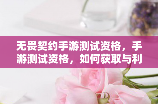 无畏契约手游测试资格,手游测试资格,如何获取与利用 无畏契约手游测试资格,手游测试资格,如何获取与利用