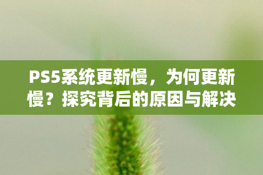 PS5系统更新慢,为何更新慢?探究背后的原因与解决方案 PS5系统更新慢,为何更新慢?探究背后的原因与解决方案