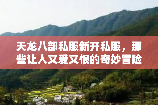 那些让人又爱又恨的奇妙冒险天龙私服图片