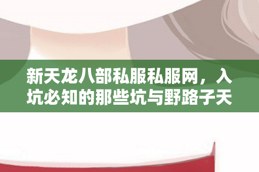 入坑必知的那些坑与野路子天龙八部私服图片