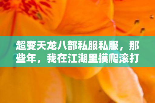 我在江湖里摸爬滚打的日子天龙私服图片