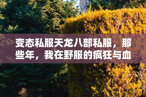 我在野服的疯狂与血泪天龙八部私服图片