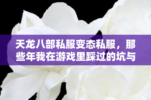那些年我在游戏里踩过的坑与摸出的野路子天龙私服图片
