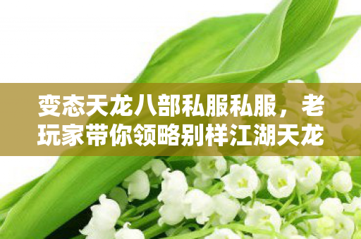 老玩家带你领略别样江湖天龙私服图片