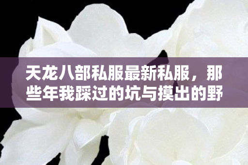 那些年我踩过的坑与摸出的野路子天龙八部私服图片