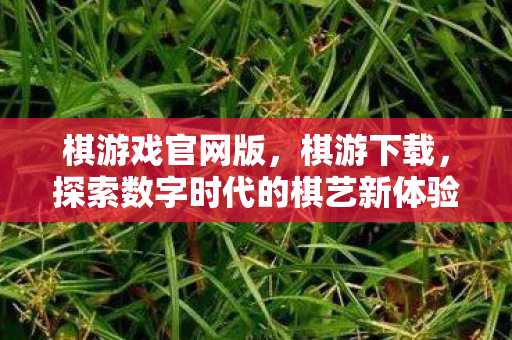 棋游戏官网版，棋游下载，探索数字时代的棋艺新体验