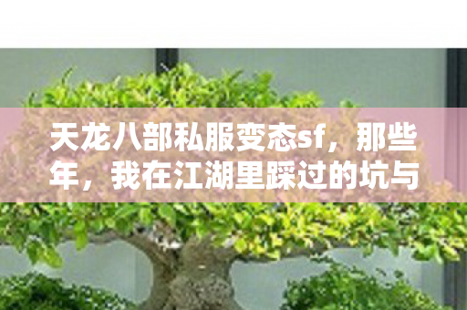 我在江湖里踩过的坑与摸出的野路子天龙私服图片