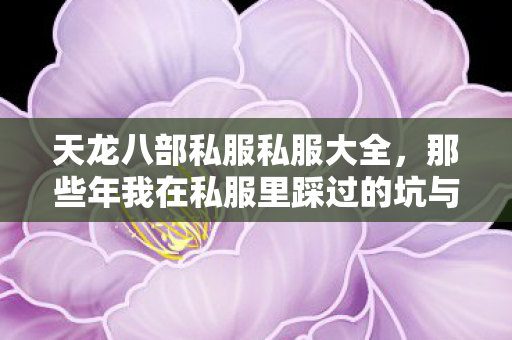 那些年我在私服里踩过的坑与摸出的野路子天龙八部私服图片