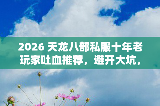 2026 天龙八部私服十年老玩家吐血推荐图片