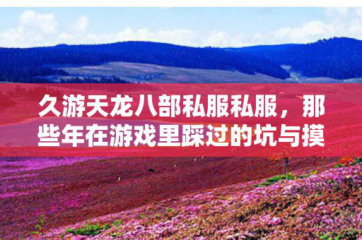 那些年在游戏里踩过的坑与摸出的野路子天龙八部私服图片