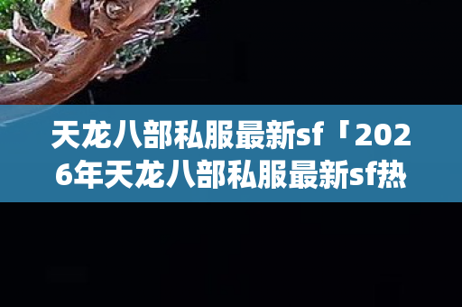 2026年天龙八部私服最新sf热度榜图片