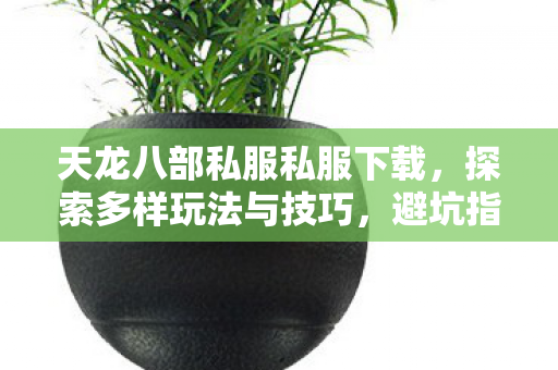 避坑指南助你畅玩天龙八部私服图片