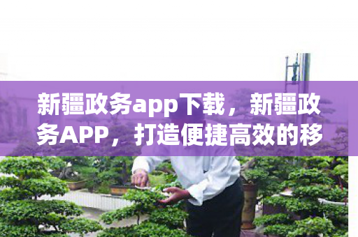 新疆政务app下载,新疆政务APP,打造便捷高效的移动政务平台 新疆政务app下载,新疆政务APP,打造便捷高效的移动政务平台