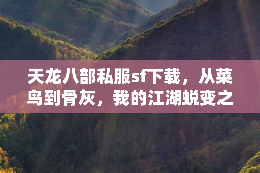 我的江湖蜕变之路天龙八部私服图片