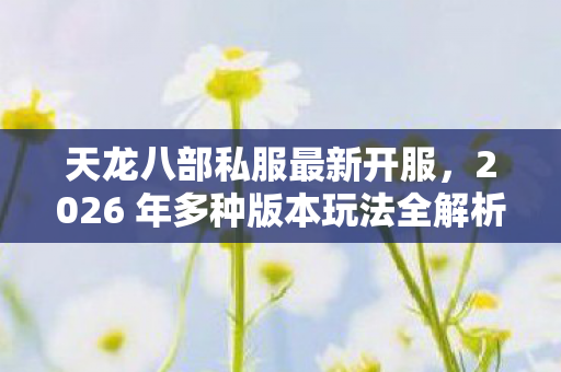 2026 年多种版本玩法全解析图片