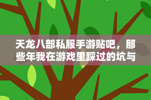 那些年我在游戏里踩过的坑与摸出的野路子天龙私服图片