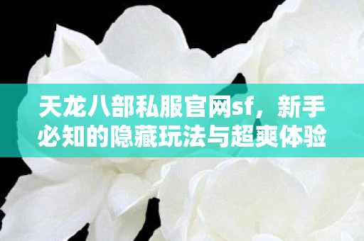 新手必知的隐藏玩法与超爽体验天龙八部私服图片