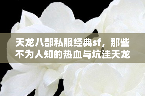 天龙八部私服经典sf,那些不为人知的热血与坑洼天龙私服 天龙八部私服经典sf,那些不为人知的热血与坑洼天龙私服