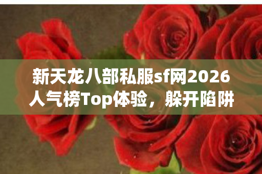 新天龙八部私服sf网2026人气榜Top体验图片