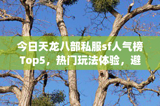 今日天龙八部私服sf人气榜Top5图片