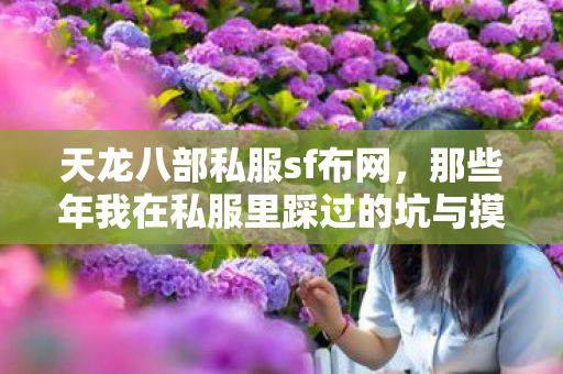 那些年我在私服里踩过的坑与摸出的野路子天龙私服图片