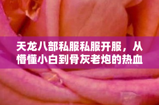从懵懂小白到骨灰老炮的热血征程天龙私服图片