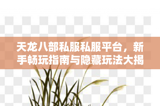 新手畅玩指南与隐藏玩法大揭秘天龙私服图片