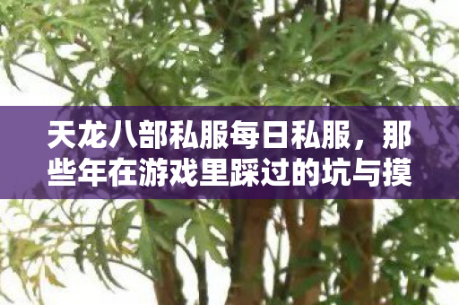 那些年在游戏里踩过的坑与摸出的野路子天龙私服图片