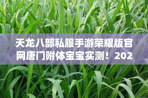 2026热度榜Top5高人气服避坑指南天龙私服图片