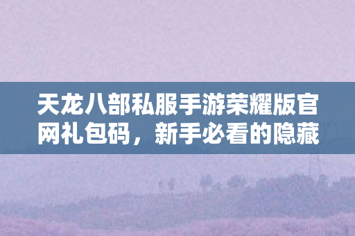 新手必看的隐藏玩法攻略天龙八部私服图片