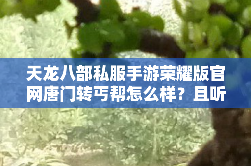 天龙八部私服手游荣耀版官网唐门转丐帮怎么样图片