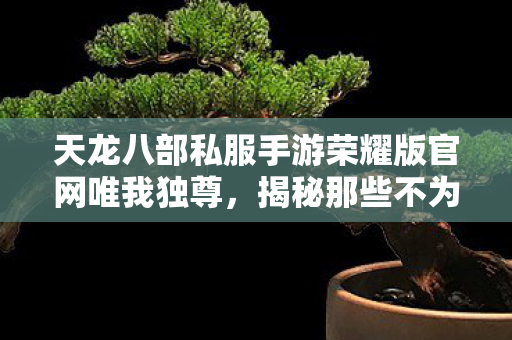 揭秘那些不为人知的服务器趣事天龙私服图片