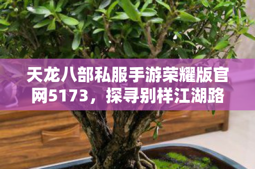 探寻别样江湖路的坎坷与惊喜天龙八部私服图片