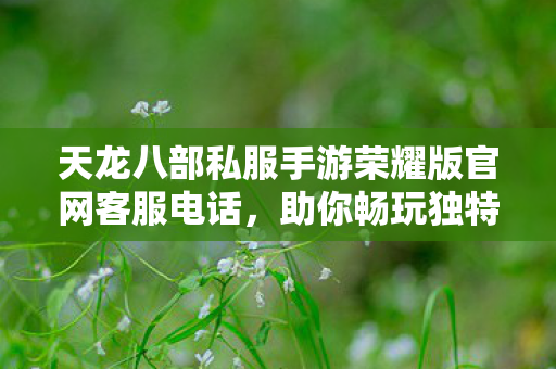 天龙八部私服手游荣耀版官网客服电话图片